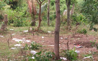 Đà Nẵng: Cưa đầu đạn, 2 người tử vong